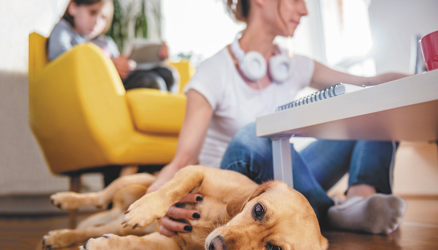 Home office: as coisas que não estão querendo falar para você